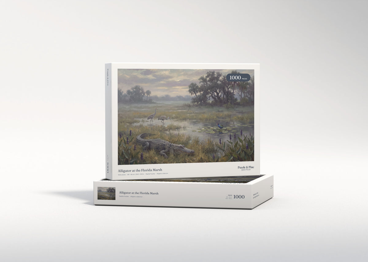 Alligator at the Florida Marsh jigsaw puzzle - gift box