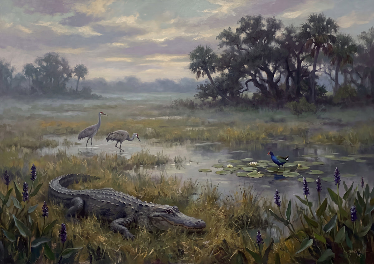 Alligator at the Florida Marsh jigsaw puzzle