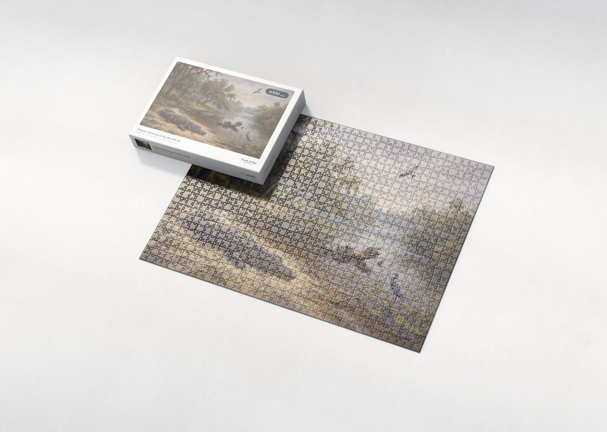 Alligator Basking on the Riverbank jigsaw puzzle - box and puzzle