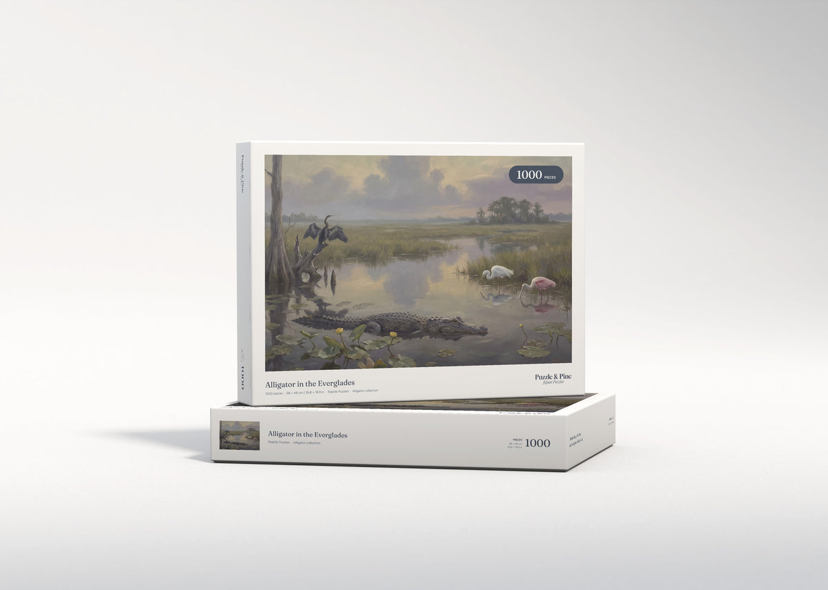 Alligator in the Everglades jigsaw puzzle - gift box