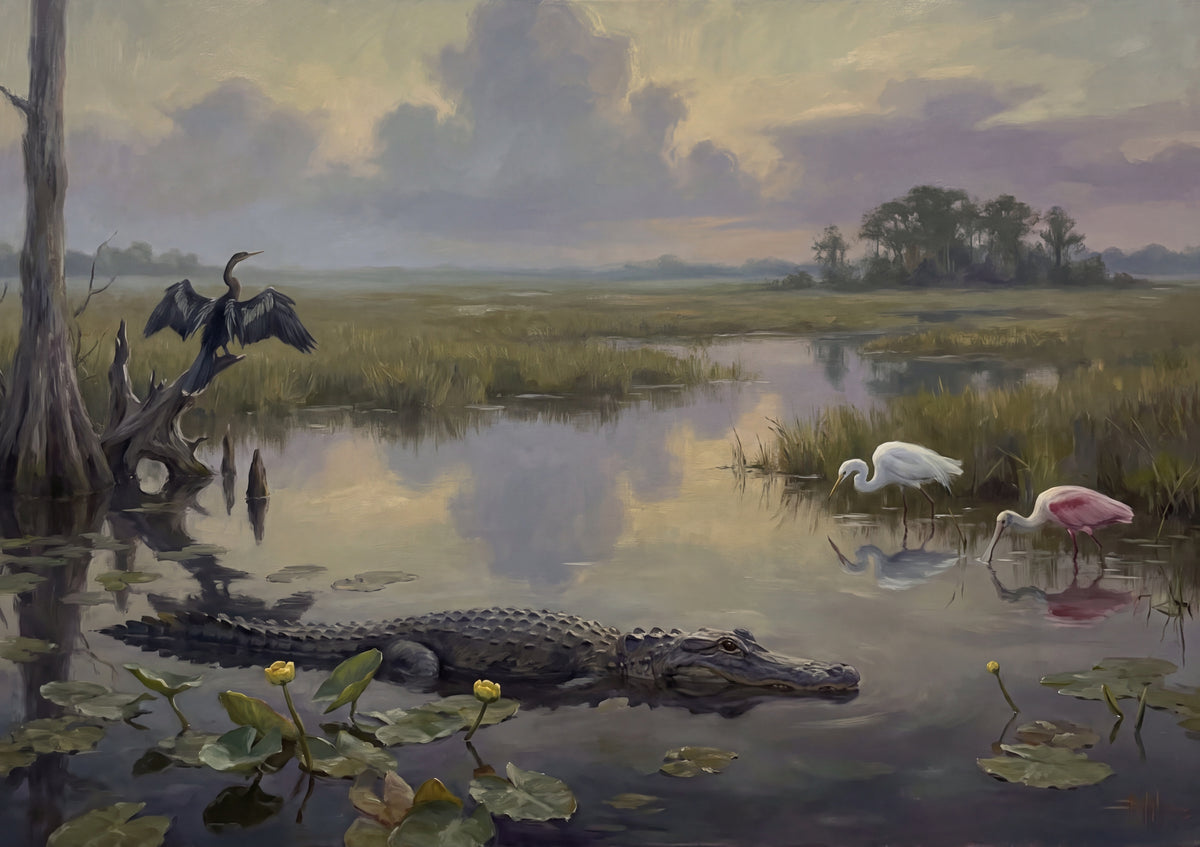Alligator in the Everglades jigsaw puzzle