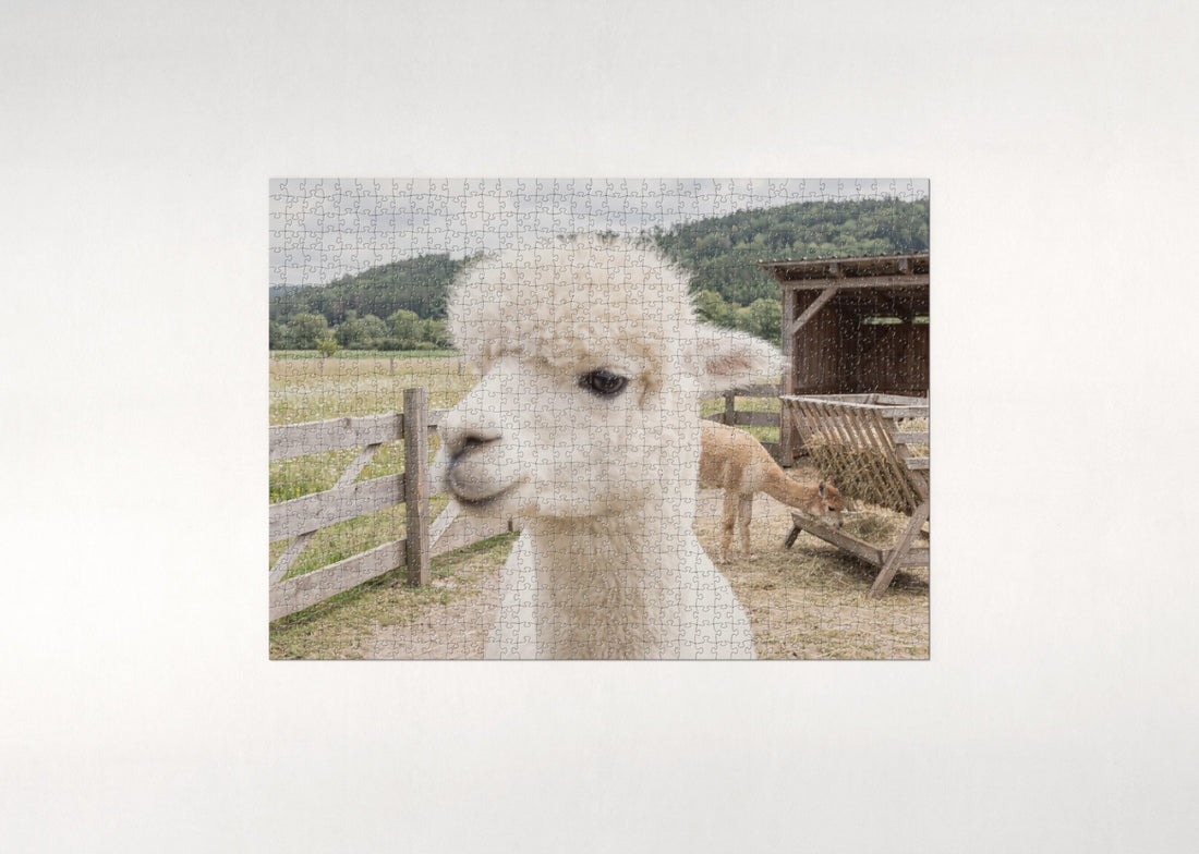 Alpaca Portrait with Fluffy Fleece jigsaw puzzle - gift box