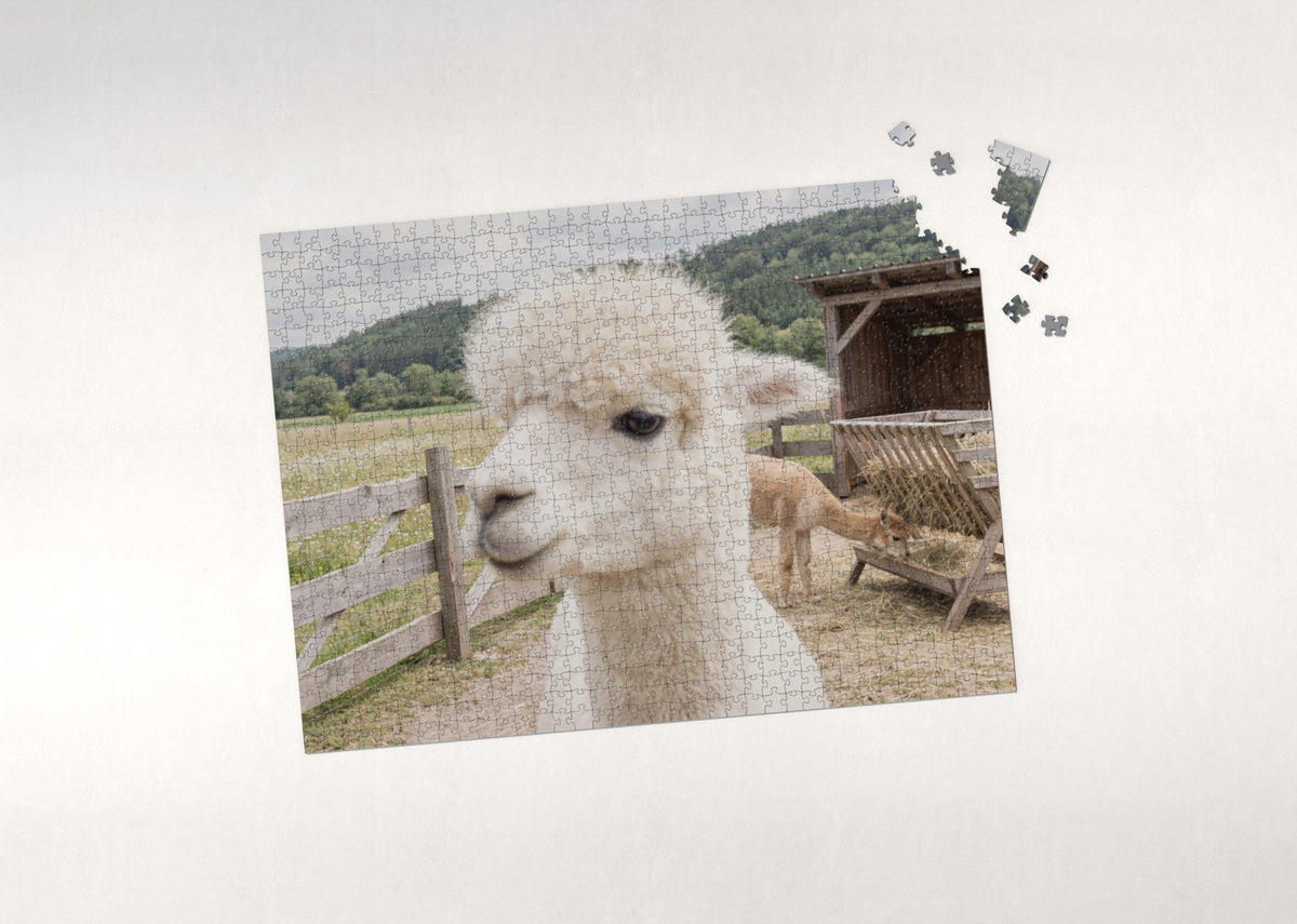 Alpaca Portrait with Fluffy Fleece jigsaw puzzle - puzzle with loose pieces