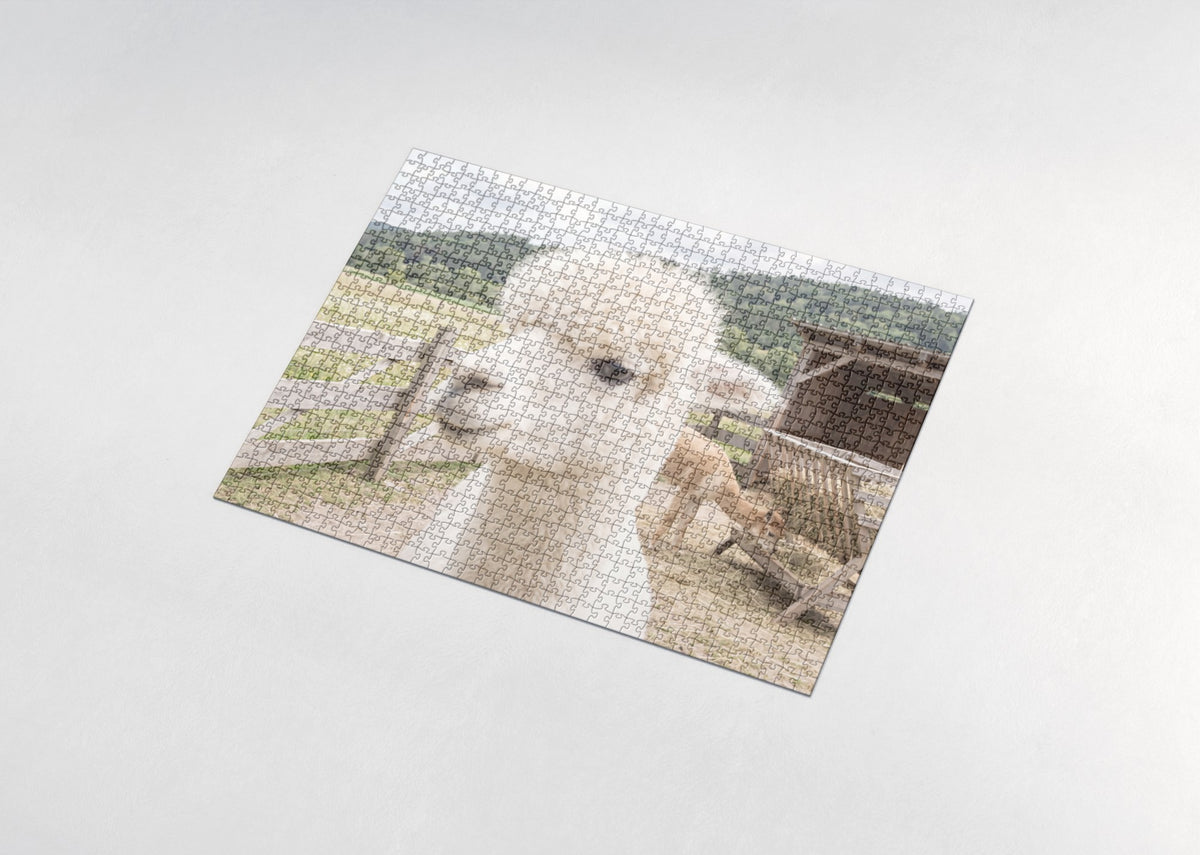 Alpaca Portrait with Fluffy Fleece jigsaw puzzle - assembled puzzle