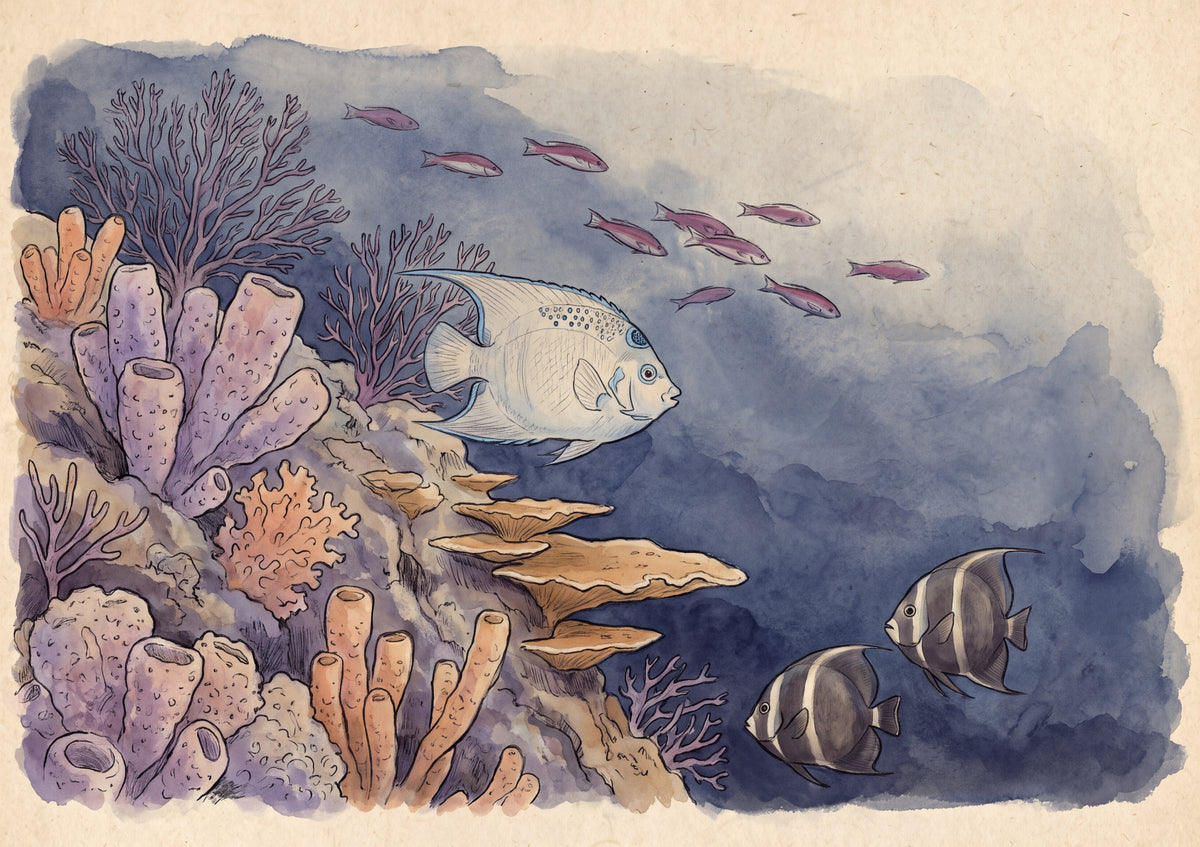Angelfish at the Coral Wall jigsaw puzzle
