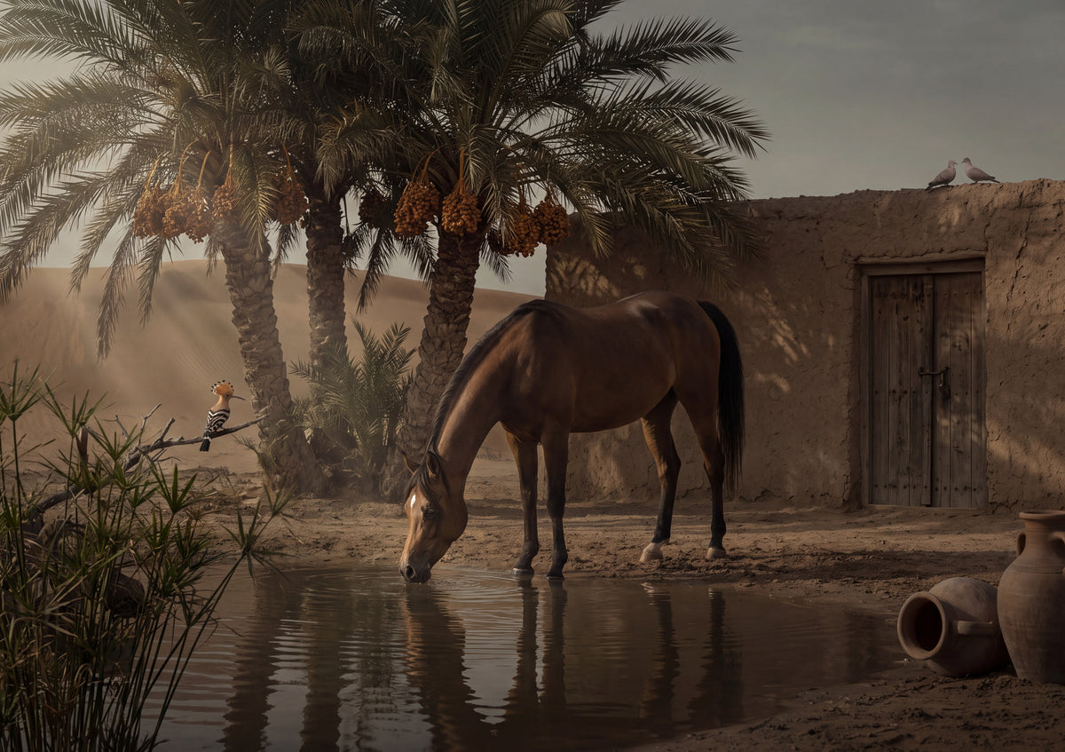 Arabian at the Palm Oasis jigsaw puzzle