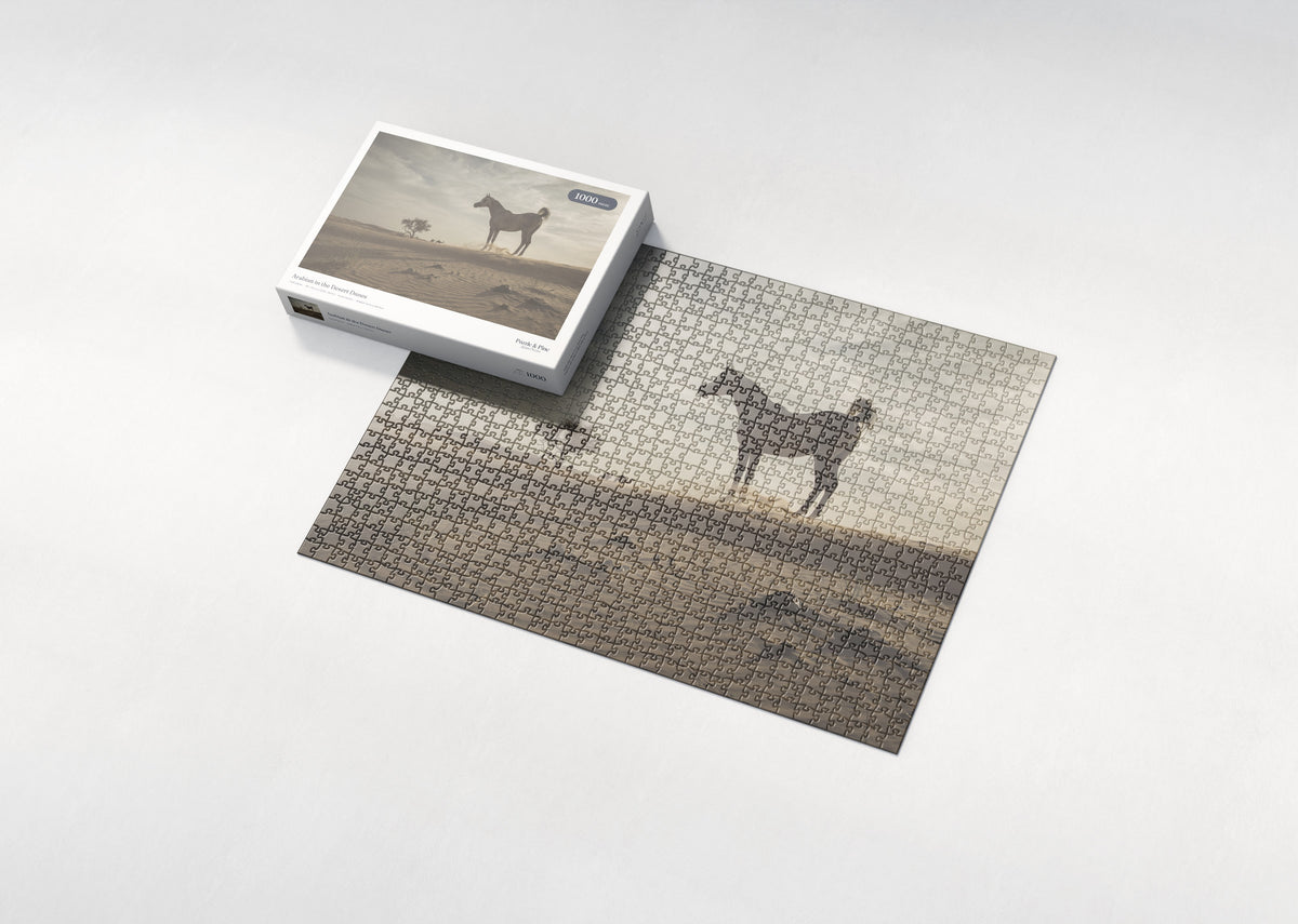 Arabian in the Desert Dunes jigsaw puzzle - box and puzzle