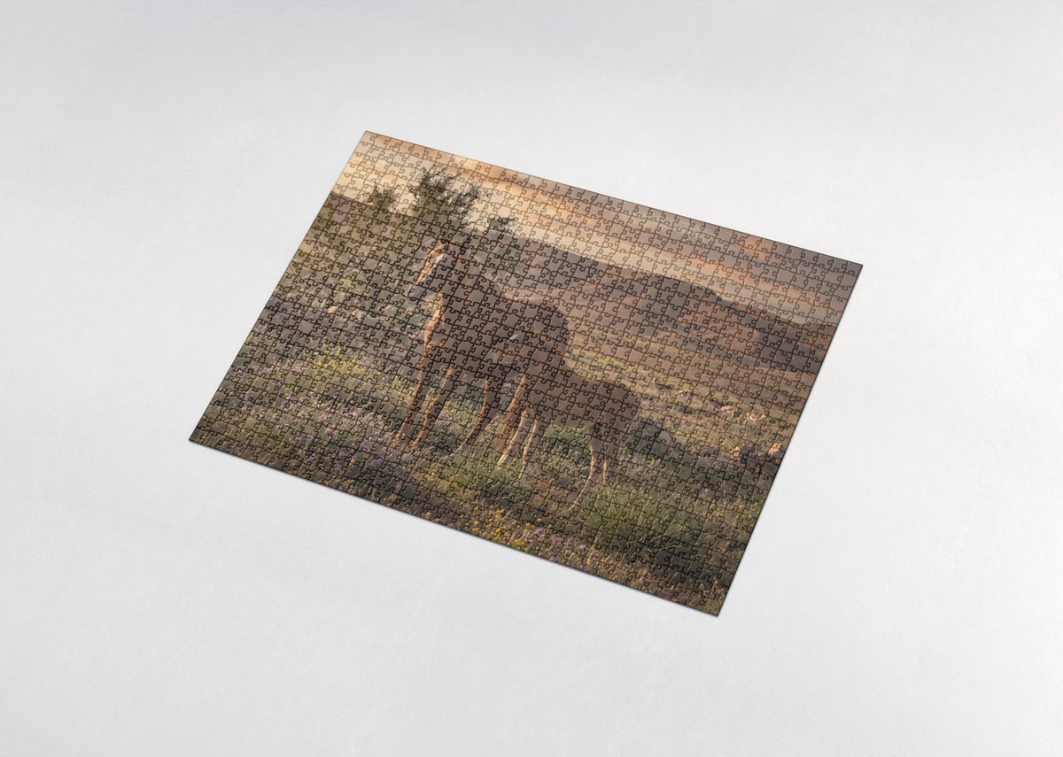 Arabian Mare and Foal at Sunrise jigsaw puzzle - assembled puzzle