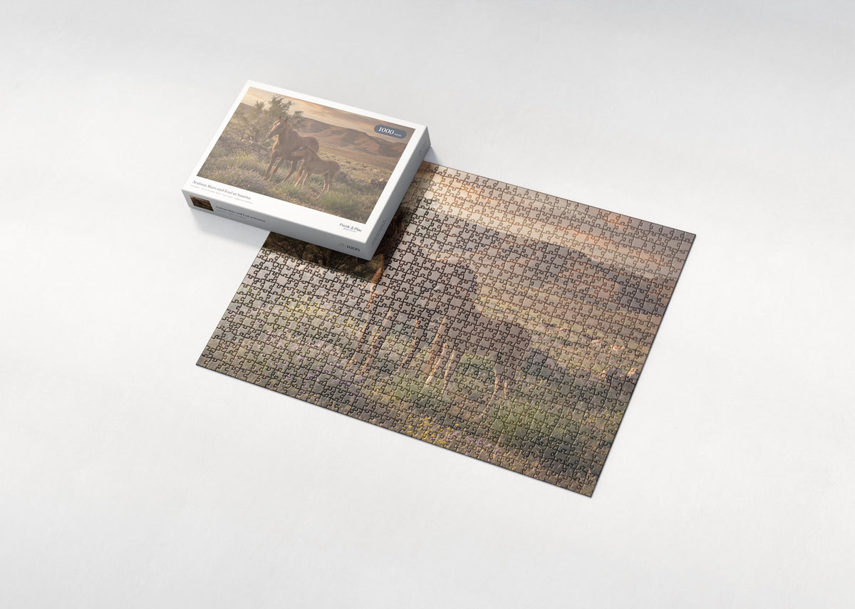 Arabian Mare and Foal at Sunrise jigsaw puzzle - box and puzzle