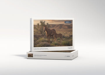 Arabian Mare and Foal at Sunrise jigsaw puzzle - gift box