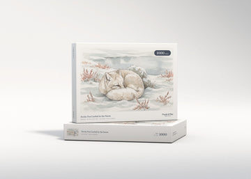 Arctic Fox Curled in the Snow jigsaw puzzle - gift box