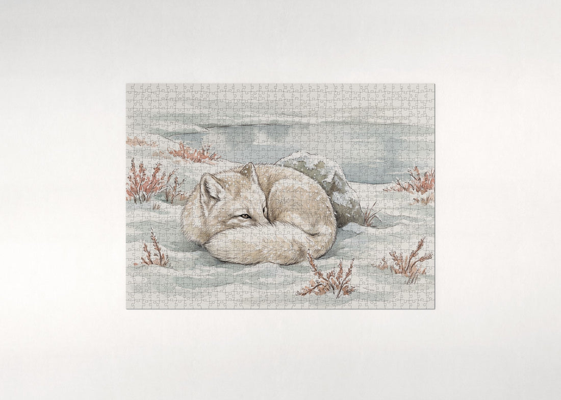 Arctic Fox Curled in the Snow jigsaw puzzle - gift box