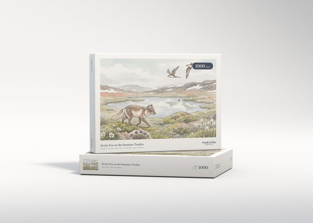 Arctic Fox on the Summer Tundra jigsaw puzzle - gift box