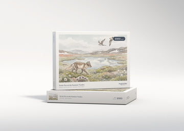 Arctic Fox on the Summer Tundra jigsaw puzzle - gift box