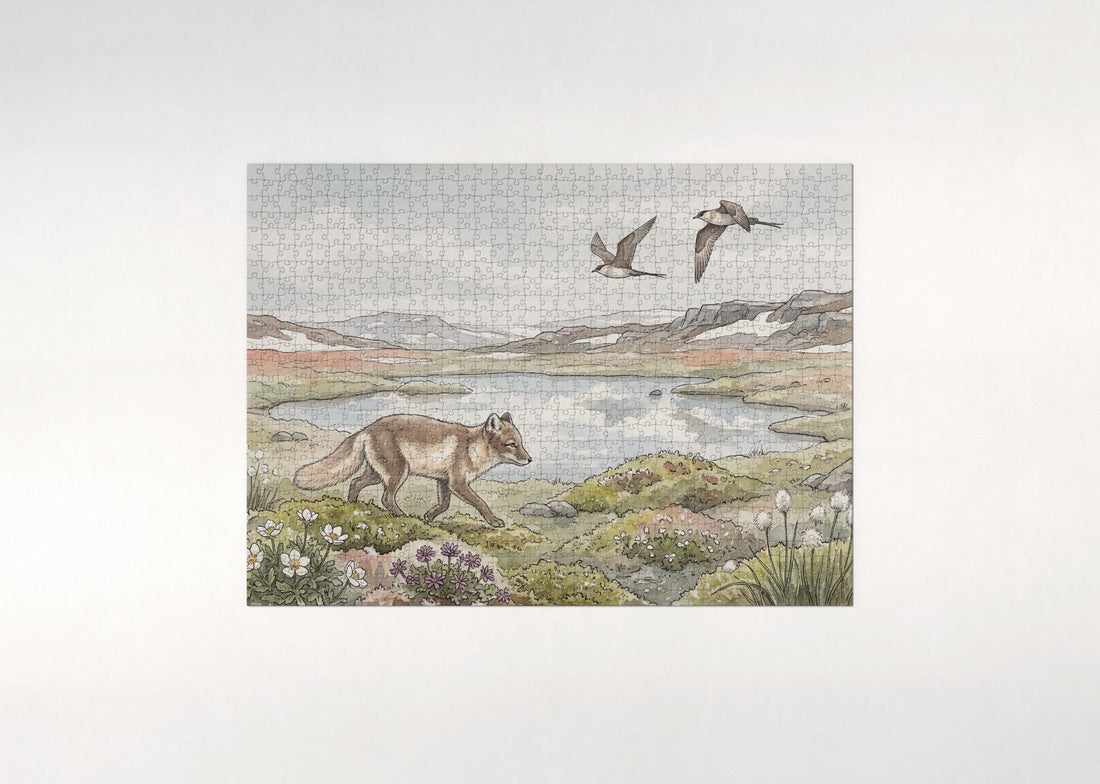 Arctic Fox on the Summer Tundra jigsaw puzzle - gift box