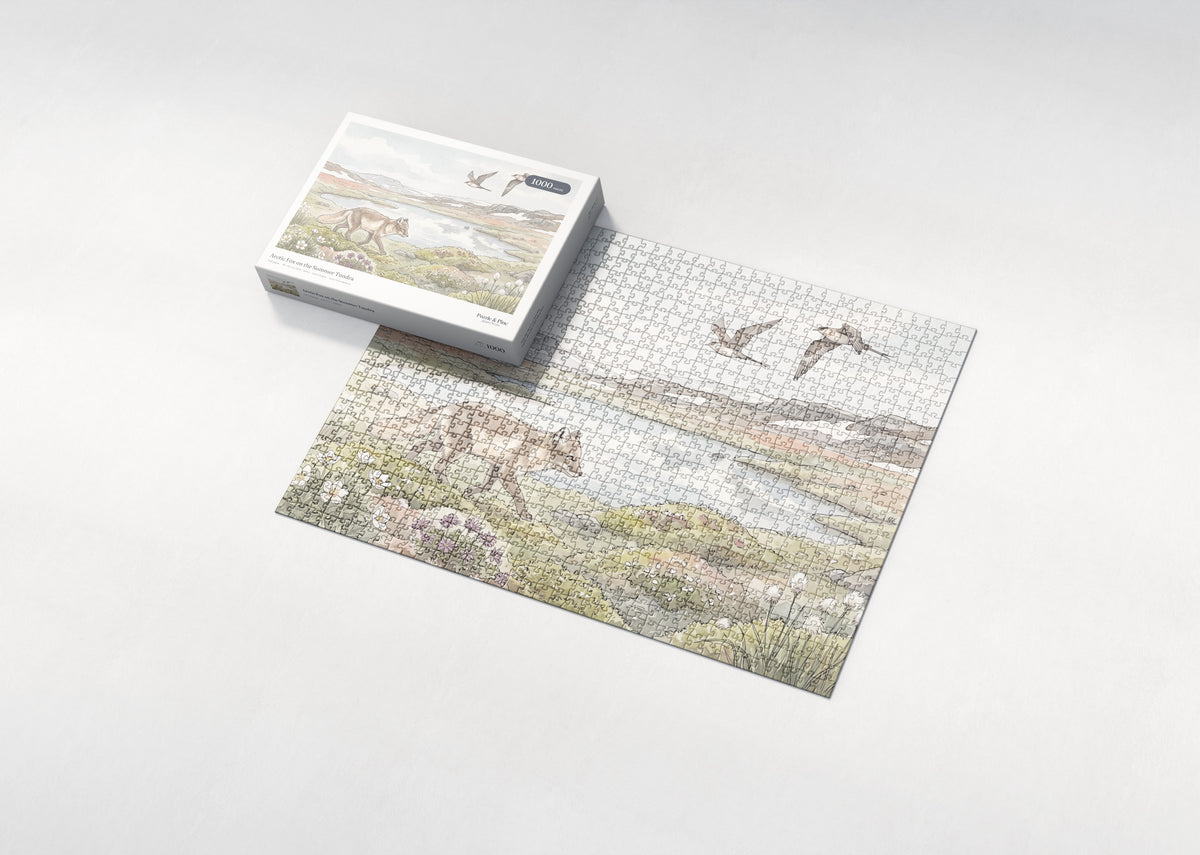 Arctic Fox on the Summer Tundra jigsaw puzzle - box and puzzle