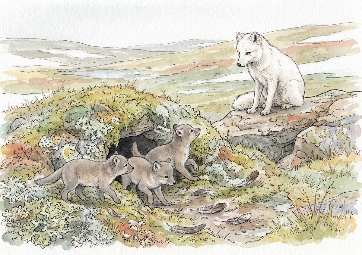 Arctic Fox Pups at the Den jigsaw puzzle