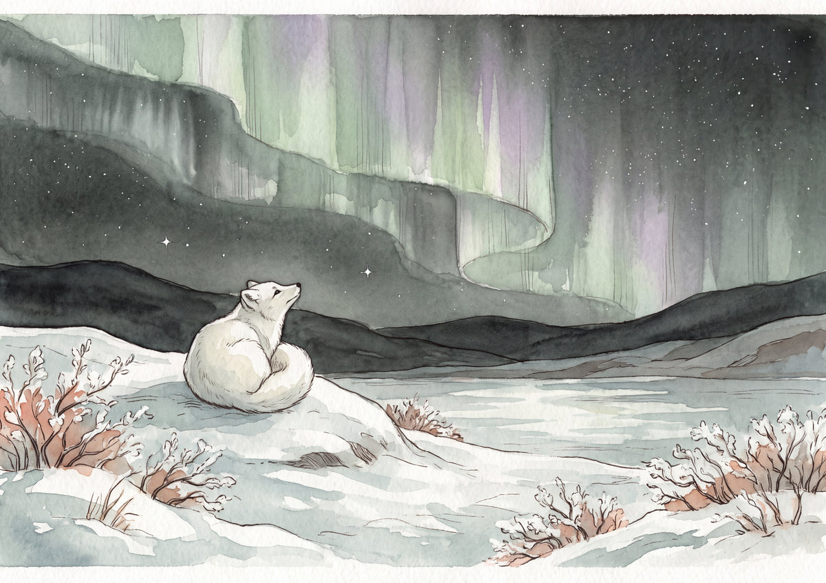 Arctic Fox Under the Northern Lights jigsaw puzzle