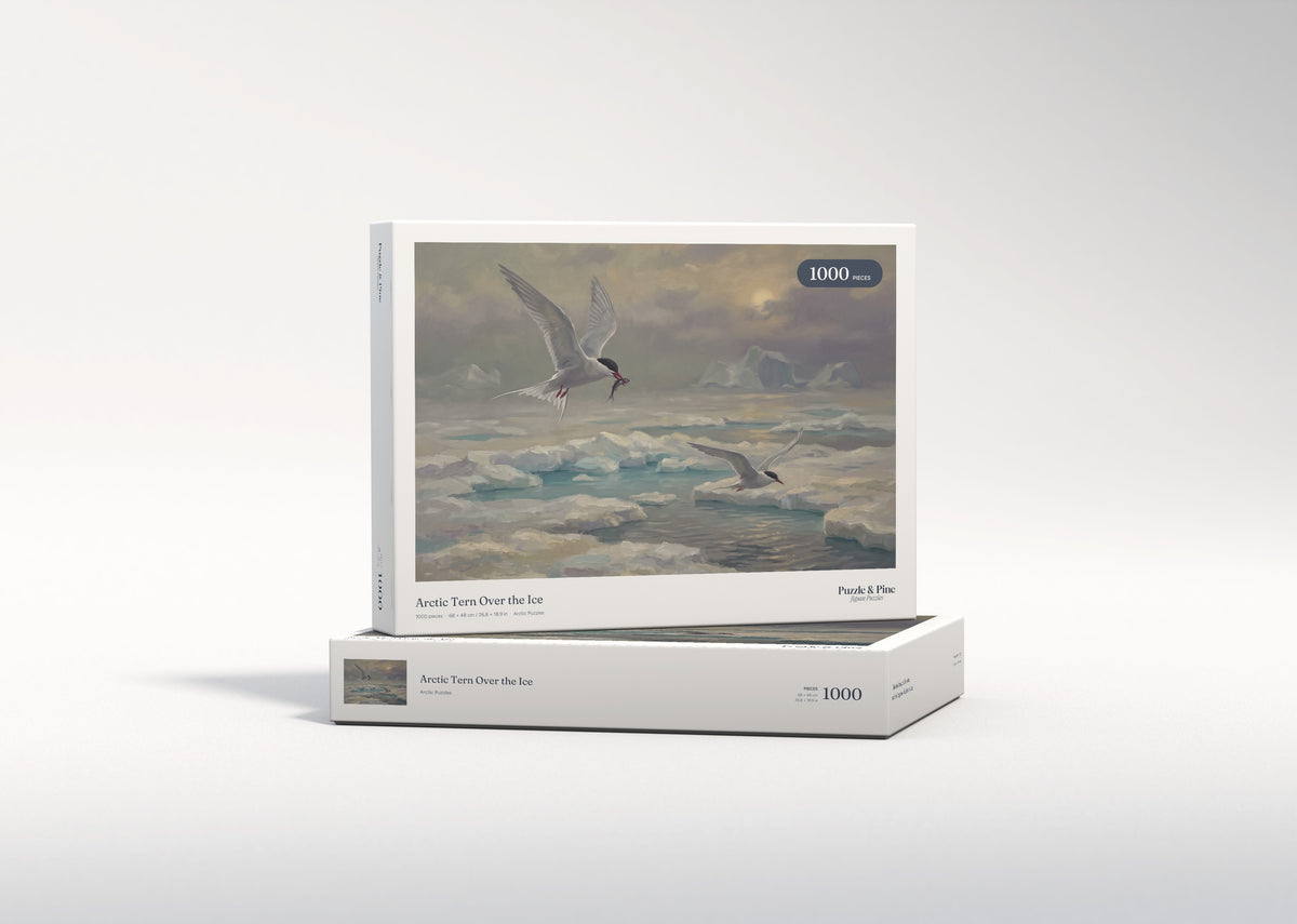 Arctic Tern Over the Ice jigsaw puzzle - gift box