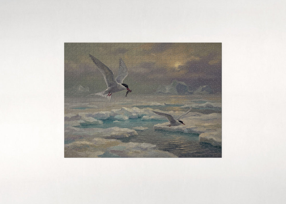 Arctic Tern Over the Ice jigsaw puzzle - gift box
