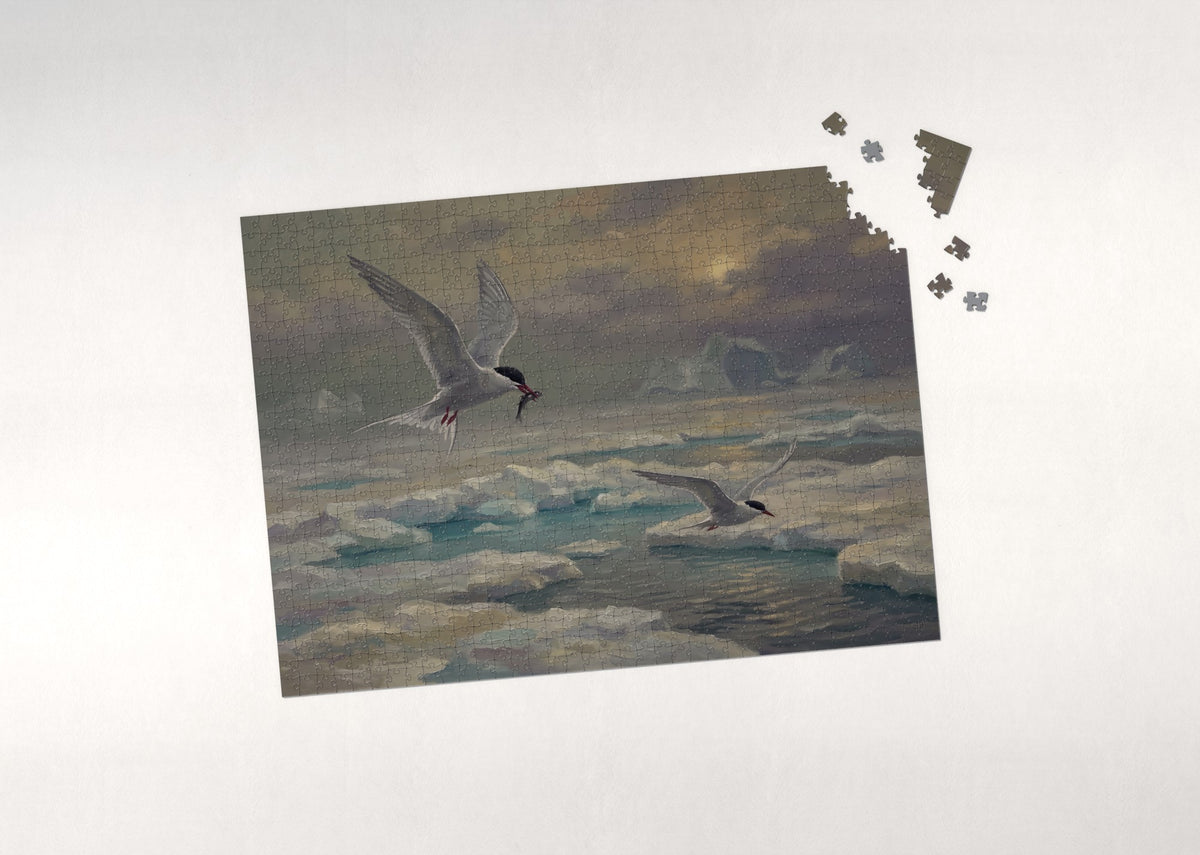 Arctic Tern Over the Ice jigsaw puzzle - puzzle with loose pieces