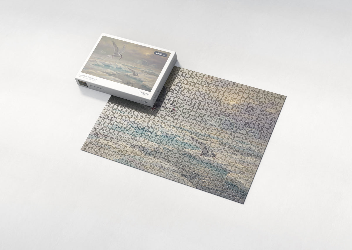 Arctic Tern Over the Ice jigsaw puzzle - box and puzzle