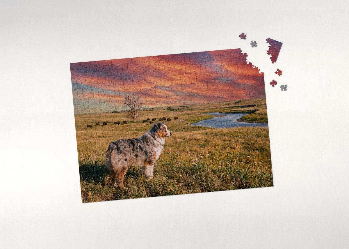 Australian Shepherd at the Prairie Sunset jigsaw puzzle - puzzle with loose pieces