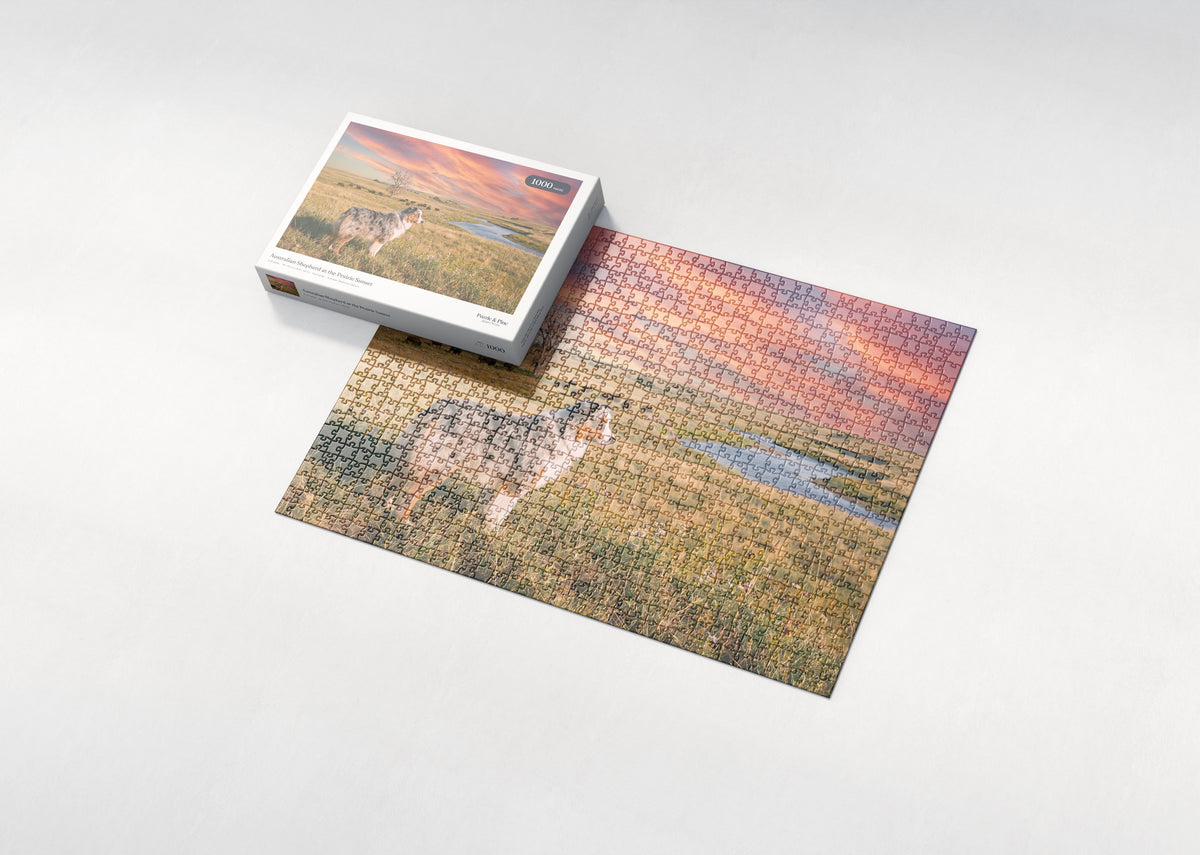 Australian Shepherd at the Prairie Sunset jigsaw puzzle - box and puzzle