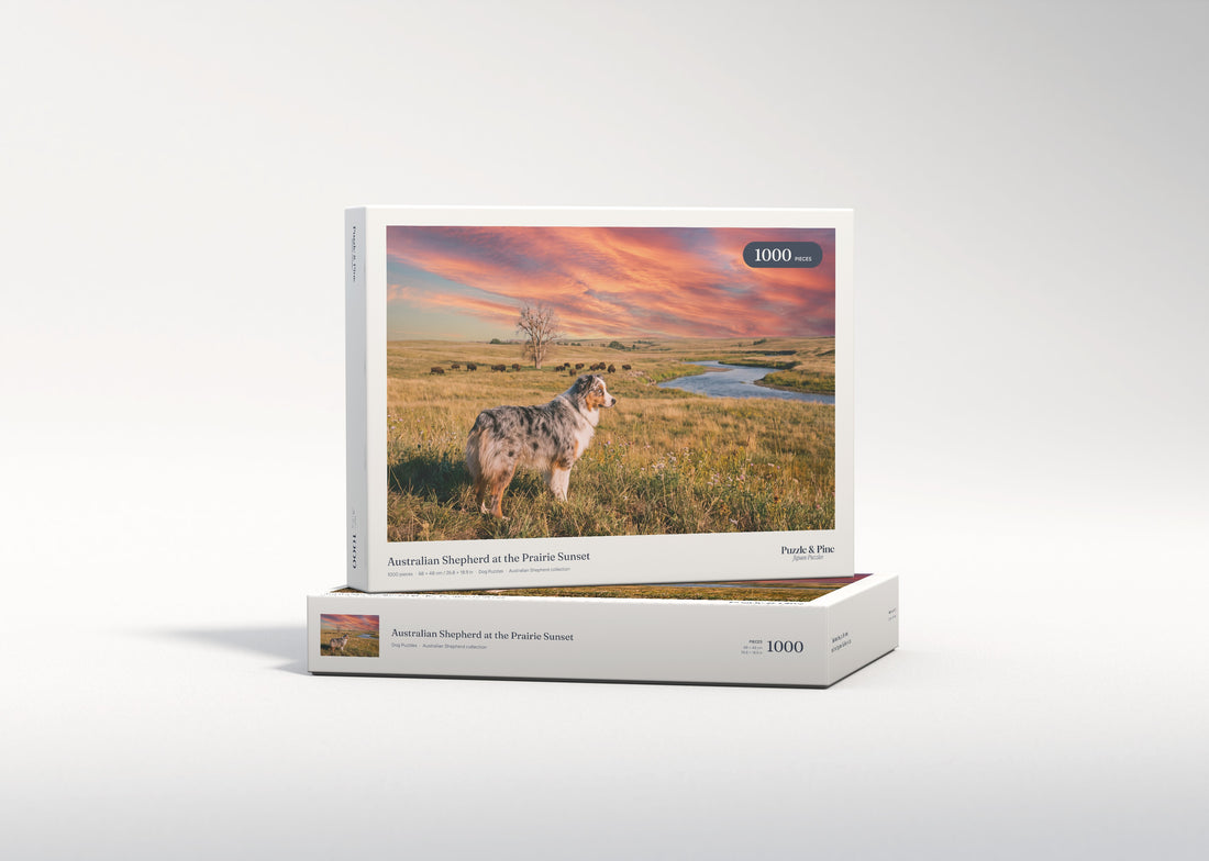 Australian Shepherd at the Prairie Sunset jigsaw puzzle - gift box
