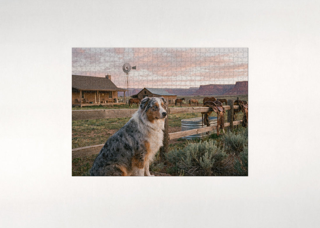 Australian Shepherd at the Ranch Sunrise jigsaw puzzle - gift box
