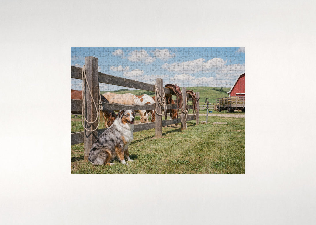 Australian Shepherd by the Horse Corral jigsaw puzzle - gift box