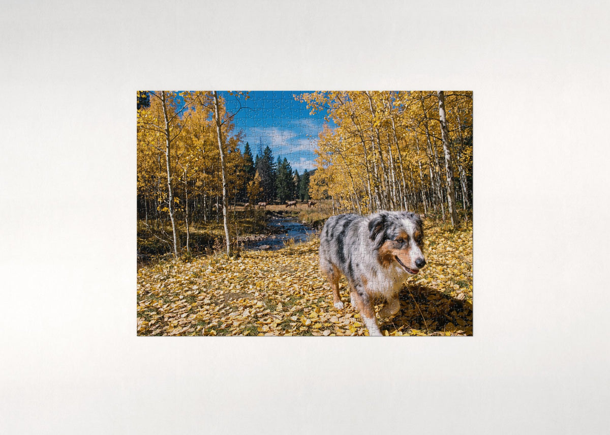 Australian Shepherd in the Aspen Grove jigsaw puzzle - flat puzzle