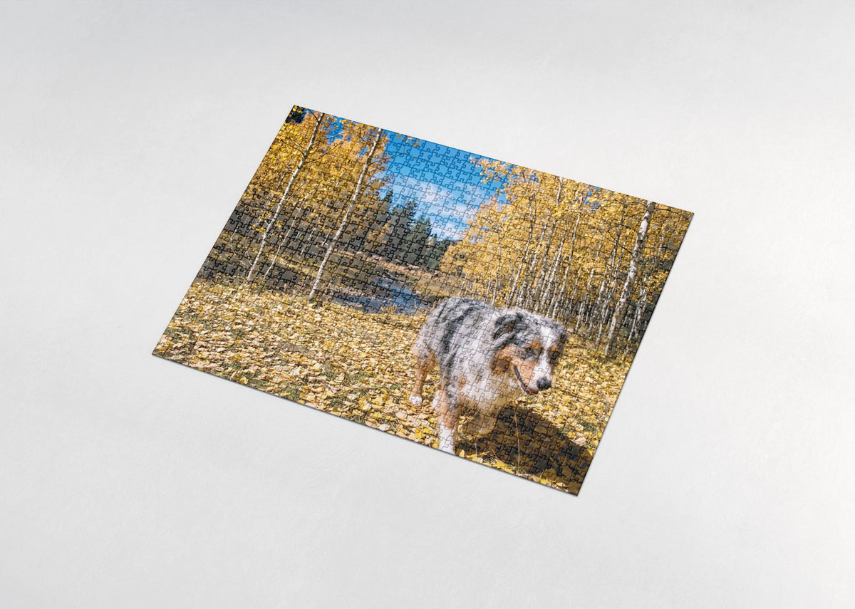 Australian Shepherd in the Aspen Grove jigsaw puzzle - assembled puzzle