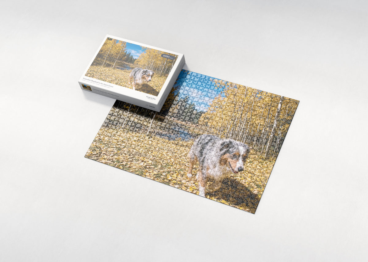 Australian Shepherd in the Aspen Grove jigsaw puzzle - box and puzzle