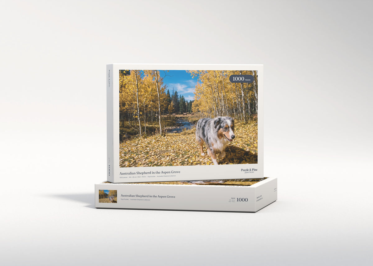Australian Shepherd in the Aspen Grove jigsaw puzzle - gift box