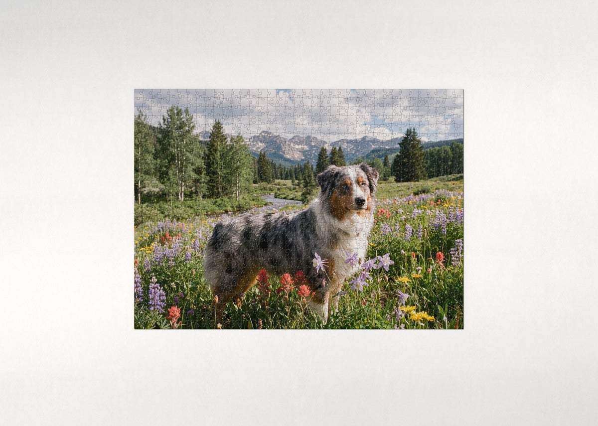 Australian Shepherd in the Mountain Wildflowers jigsaw puzzle - flat puzzle