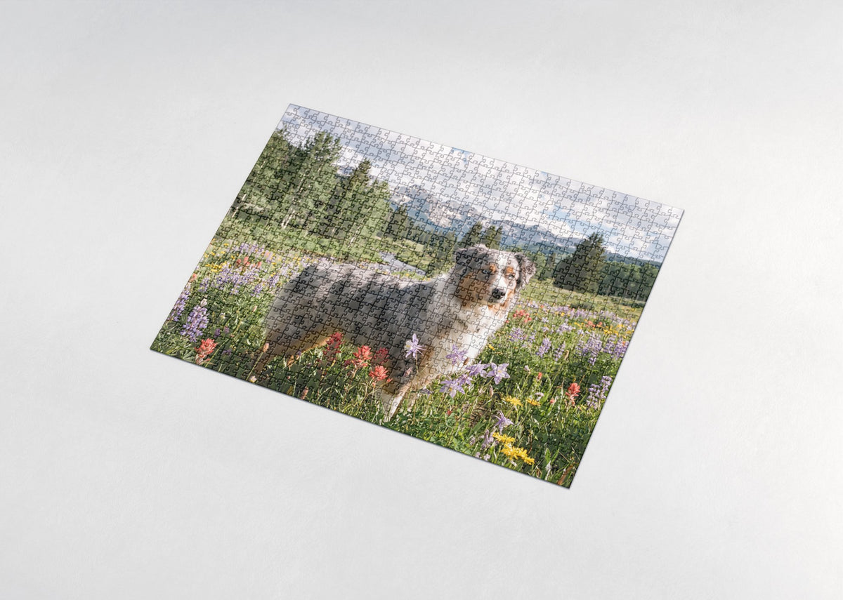 Australian Shepherd in the Mountain Wildflowers jigsaw puzzle - assembled puzzle