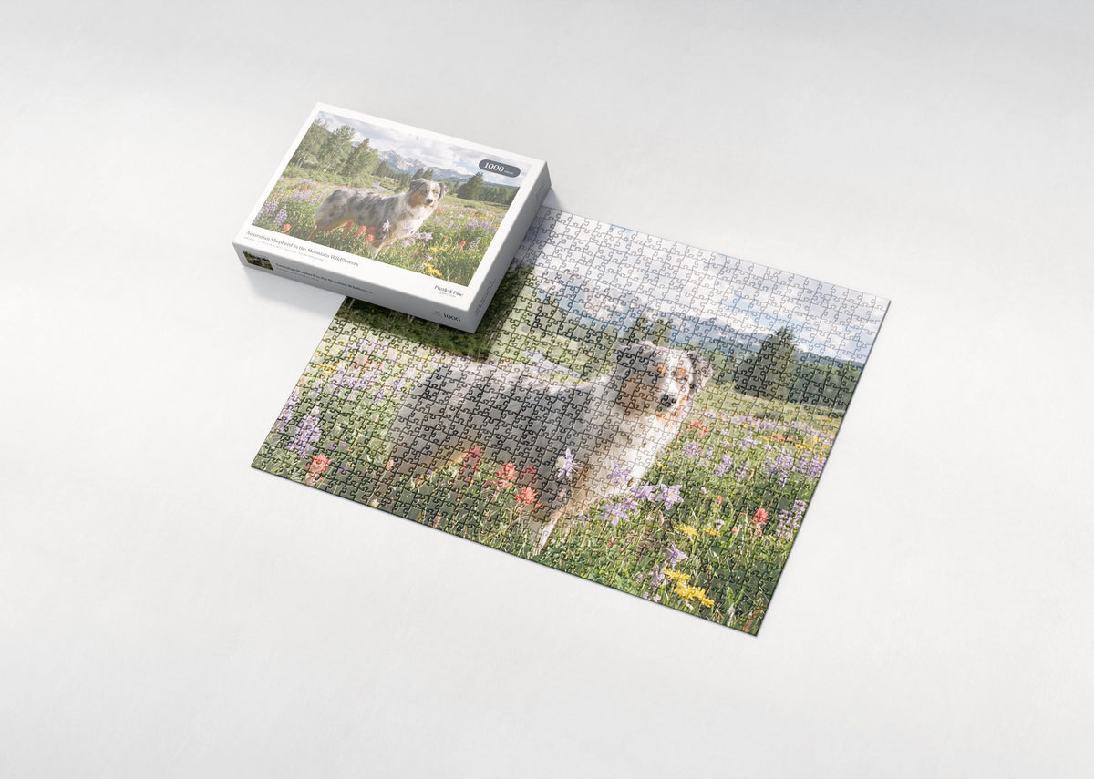 Australian Shepherd in the Mountain Wildflowers jigsaw puzzle - box and puzzle