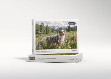Australian Shepherd in the Mountain Wildflowers jigsaw puzzle - gift box