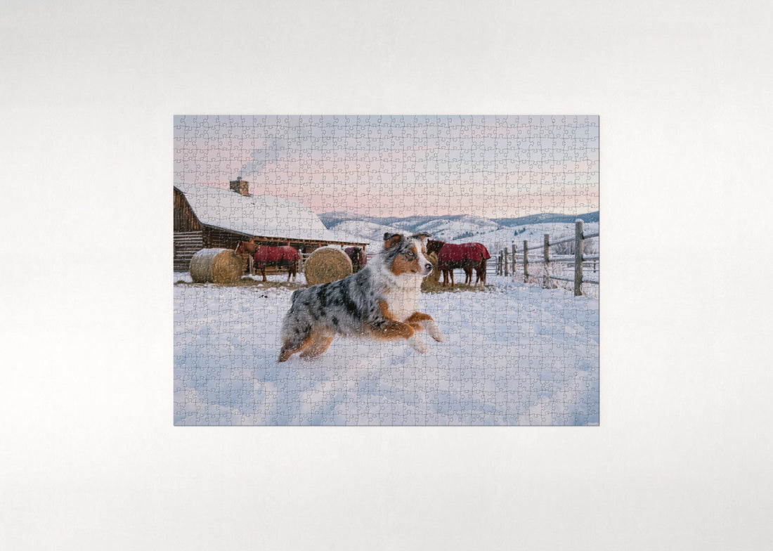 Australian Shepherd on the Snowy Ranch Morning jigsaw puzzle - gift box