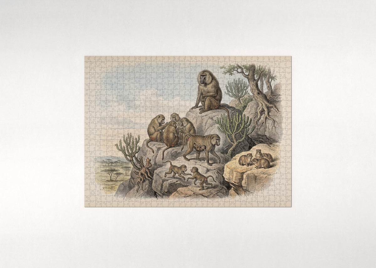 Baboon Troop on the Rocks jigsaw puzzle - flat puzzle