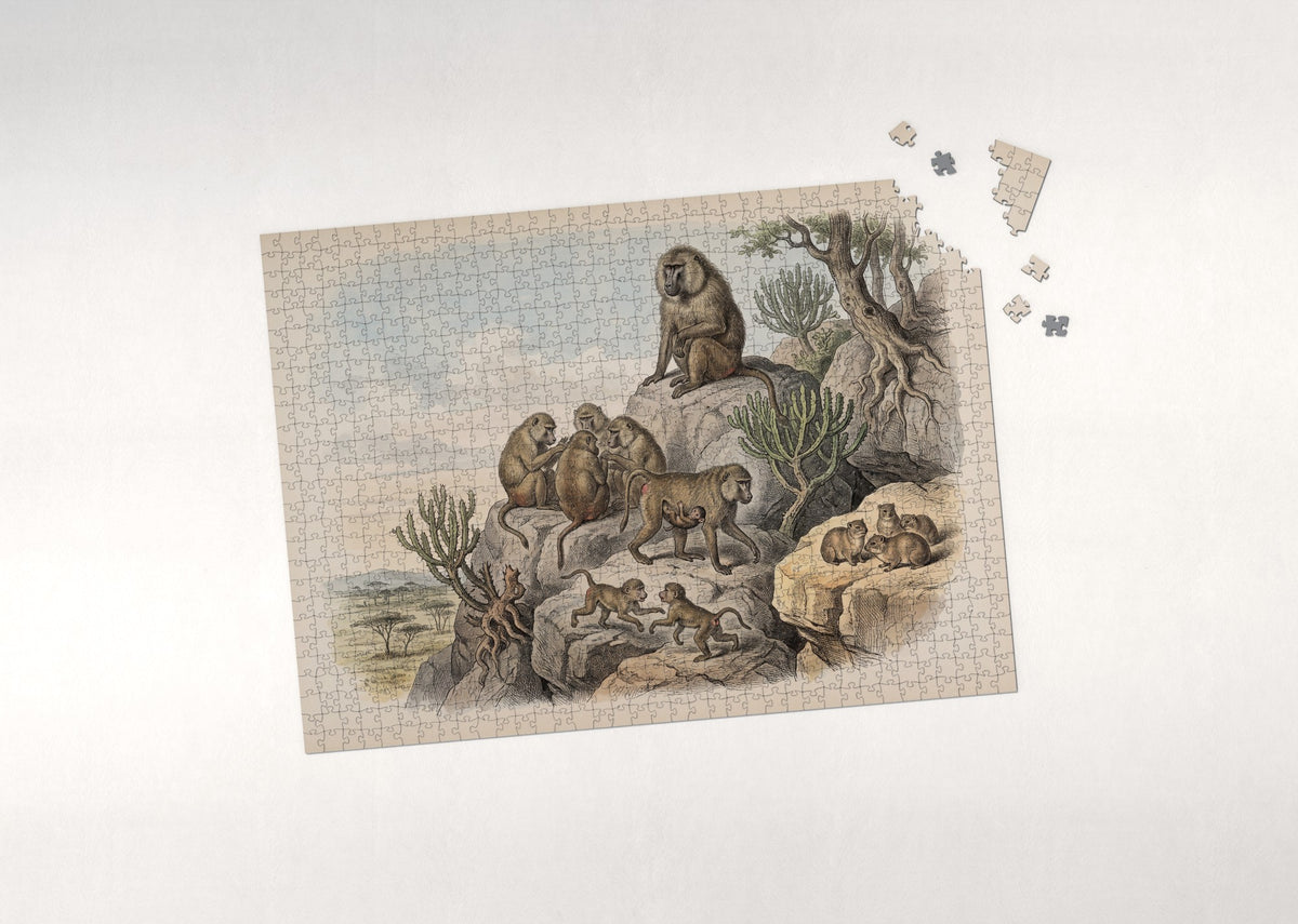 Baboon Troop on the Rocks jigsaw puzzle - puzzle with loose pieces