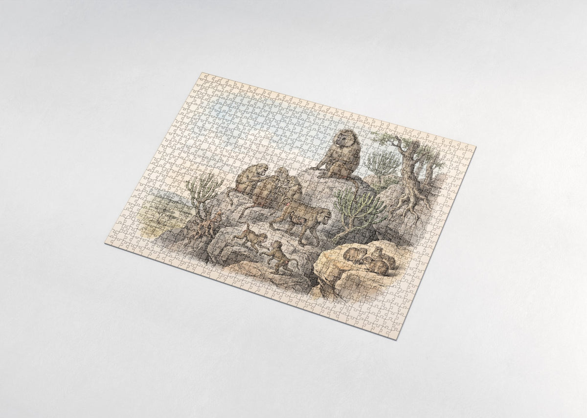 Baboon Troop on the Rocks jigsaw puzzle - assembled puzzle