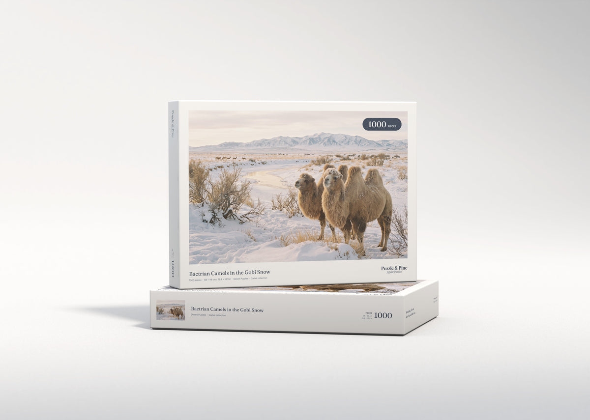 Bactrian Camels in the Gobi Snow jigsaw puzzle - gift box