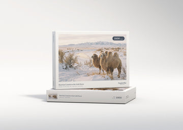 Bactrian Camels in the Gobi Snow jigsaw puzzle - gift box