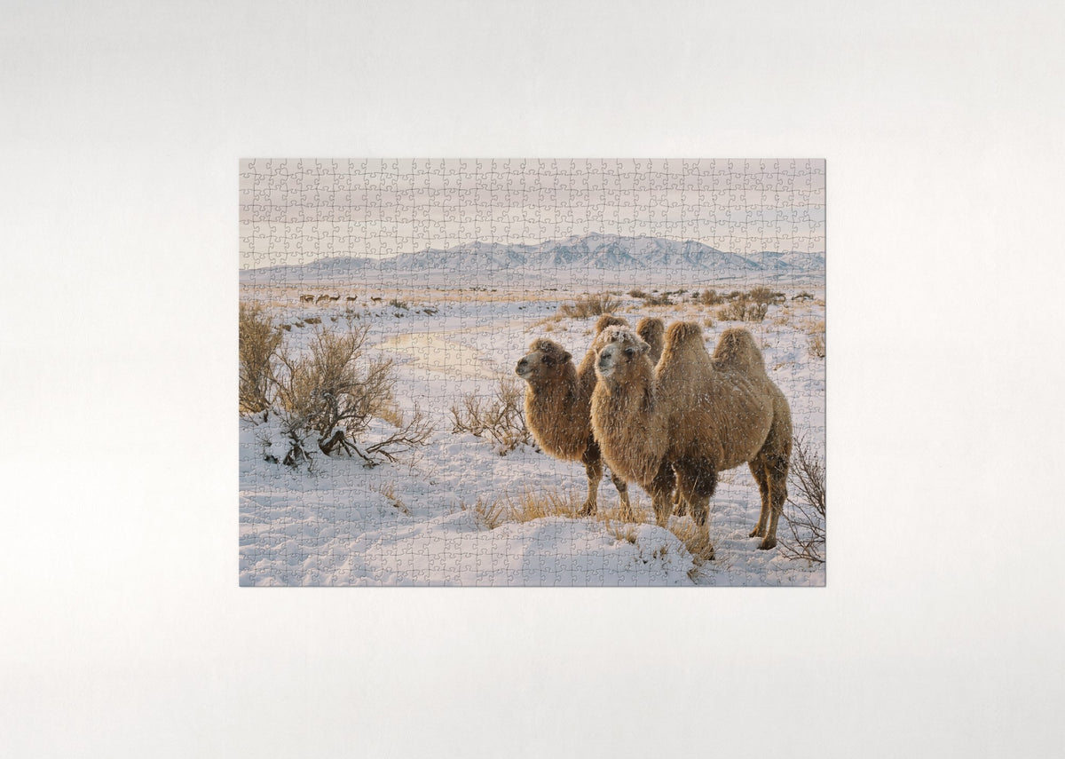 Bactrian Camels in the Gobi Snow jigsaw puzzle - flat puzzle
