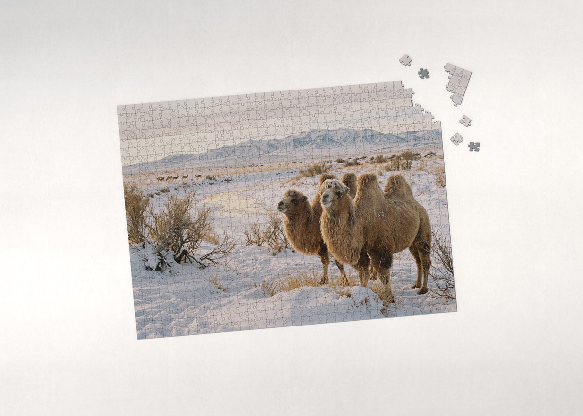 Bactrian Camels in the Gobi Snow jigsaw puzzle - puzzle with loose pieces