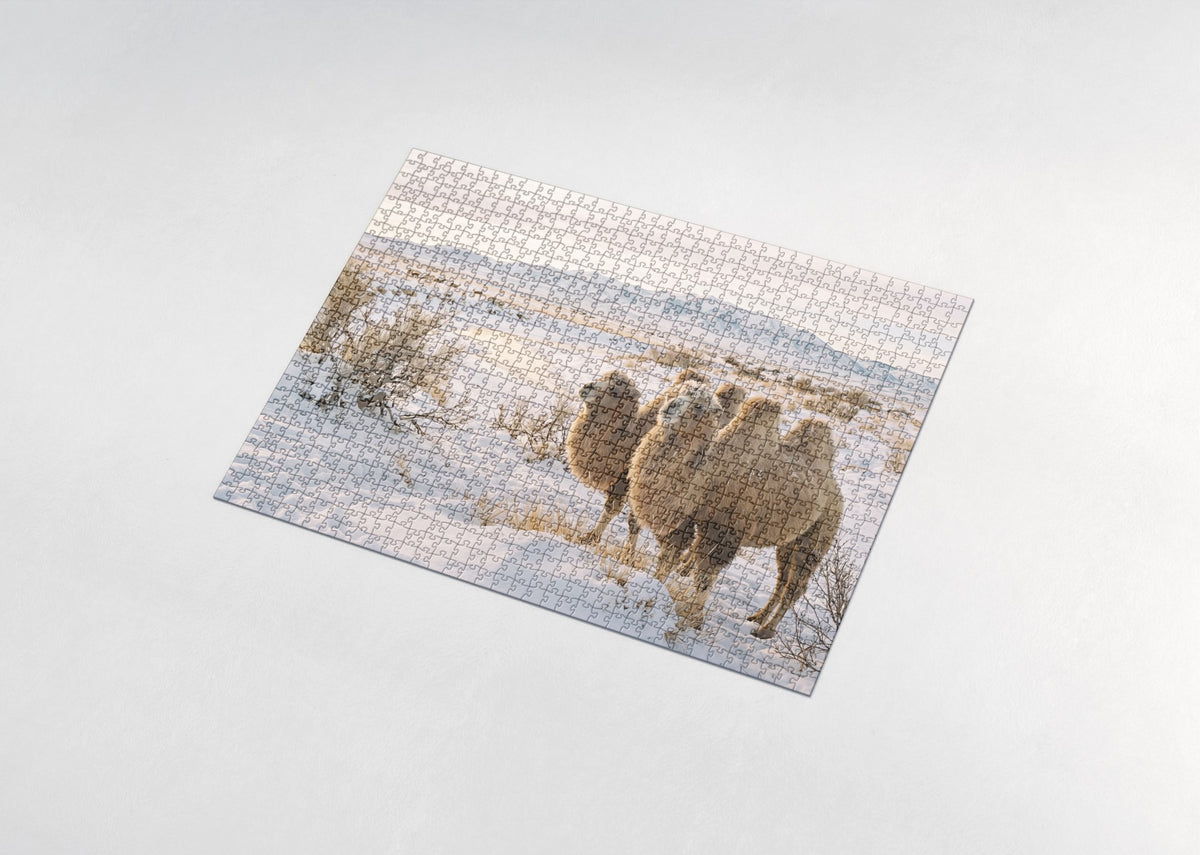 Bactrian Camels in the Gobi Snow jigsaw puzzle - assembled puzzle