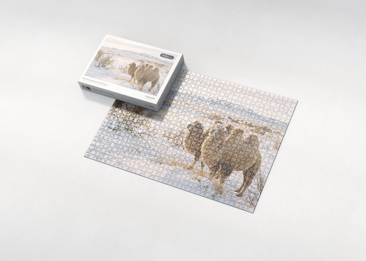 Bactrian Camels in the Gobi Snow jigsaw puzzle - box and puzzle