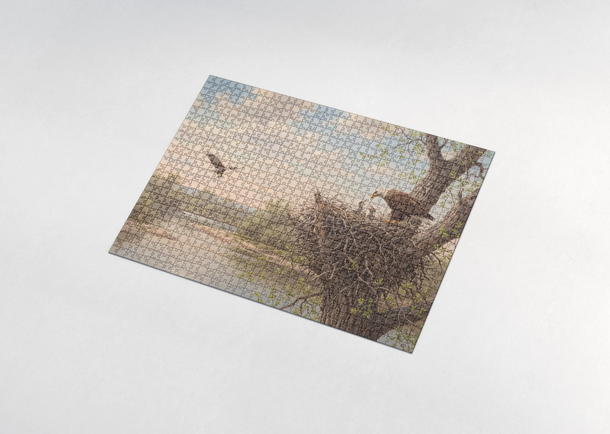 Bald Eagle Nest in the Old Cottonwood jigsaw puzzle - assembled puzzle